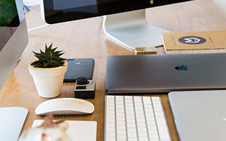 The Pink Pineapple Trend: What's Behind the Internet's Sweetest Obsession and Benny Blanco's Approval