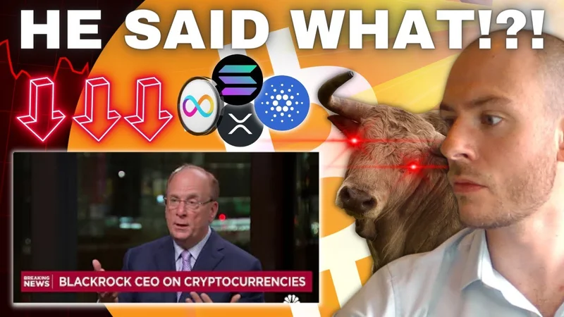 BlackRock's Bitcoin: Liquidity Alarm. It's a Trap. - Reactions: Liquidity Panic!